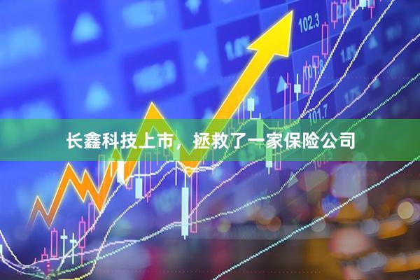 长鑫科技上市，拯救了一家保险公司
